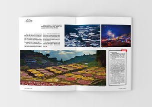 印桥皓月 桂峰古村的平面艺术之韵